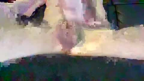 cwaddle online show from February 2025 03:48:02 PM