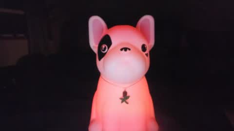 Andrew Thomas online show from October 2025 06:41:02 AM