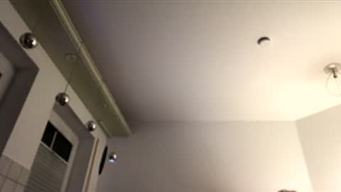 dachdecker7269 online show from December 2025 05:12:02 AM