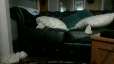 cumslutangel online show from September 2025 03:08:01 AM