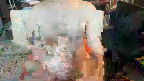 daddnextdoor online show from December 2024 06:59:02 PM