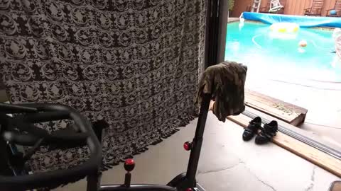 bas online show from September 2025 04:34:01 PM