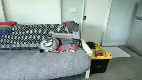 bas online show from October 2025 08:35:01 PM