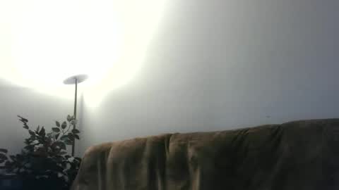Snapshot of daddydave6400 chatting on May 2026 03:46:02 AM daddydave6400 online show from May 2026 03:46:02 AM