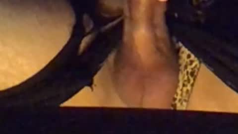 Snapshot of daddypervbuttprincess chatting on September 2025 02:50:02 PM daddypervbuttprincess online show from September 2025 02:50:02 PM