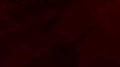 Snapshot of daddywhite88 chatting on March 2026 05:24:01 AM daddywhite88 online show from March 2026 05:24:01 AM