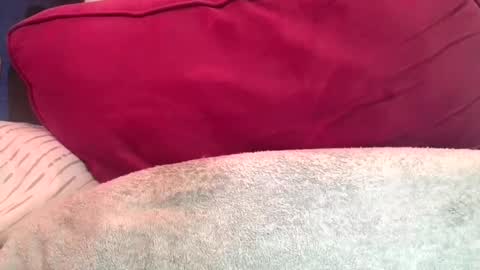 daddyy008 online show from September 2025 09:48:01 PM