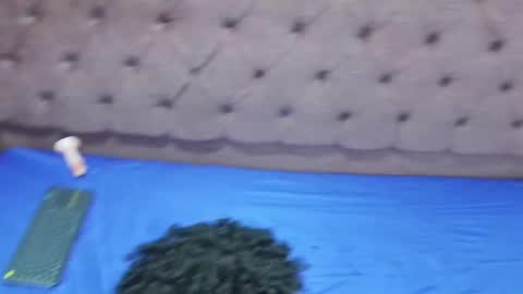 ALLAN online show from January 2025 04:37:02 PM