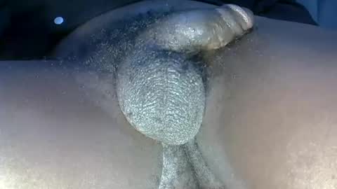 Snapshot of dadyschlong chatting on June 2026 11:13:02 PM GIANT Lamar 72 ft tall with a 10 inches BBC hard quick cumshot in private show lets go online show from June 2026 11:13:02 PM