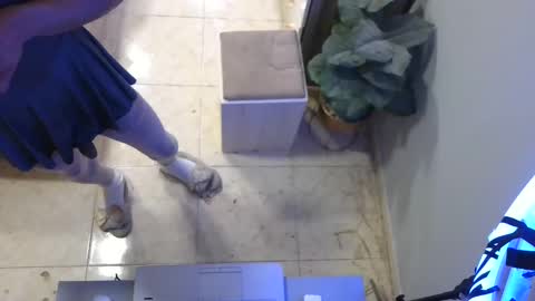 Deffa online show from February 2025 03:00:02 AM