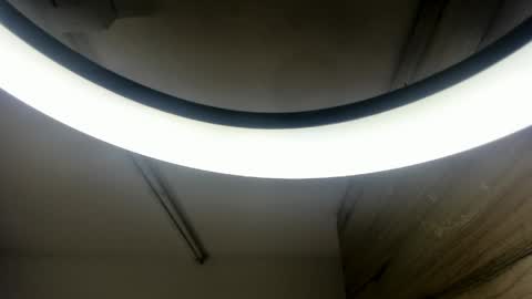 dafne_evaans online show from May 2026 11:27:02 AM