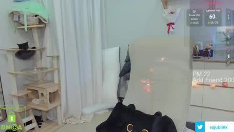 Daisy online show from March 2026 08:52:01 AM