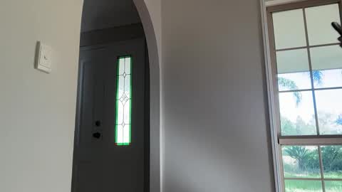 Daisy online show from March 2026 10:05:01 PM