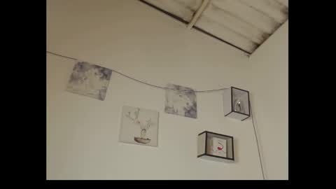 Daisy online show from February 2025 01:14:01 AM