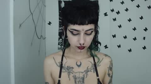 dakota online show from January 2025 10:48:02 AM