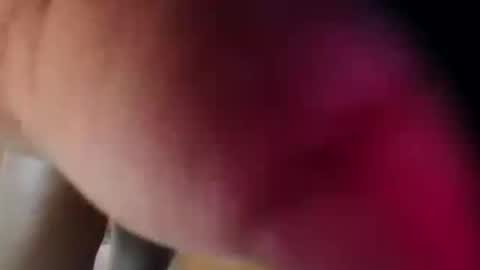 dakotaholand online show from December 2025 06:33:02 AM