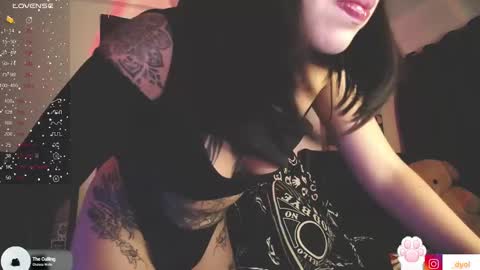 Snapshot of dalia_vorhees chatting on January 2025 03:37:01 AM dalia_vorhees online show from January 2025 03:37:01 AM