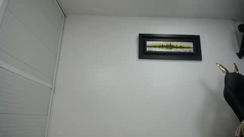 dalia dubey online show from February 2025 04:15:02 PM