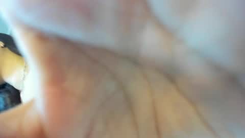 Snapshot of dalila30x chatting on January 2025 02:38:02 AM Dalila online show from January 2025 02:38:02 AM