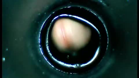 Snapshot of damdam44 chatting on January 2025 04:51:02 PM damdam44 online show from January 2025 04:51:02 PM