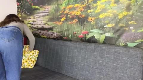 damedefeu online show from October 2025 10:34:02 AM