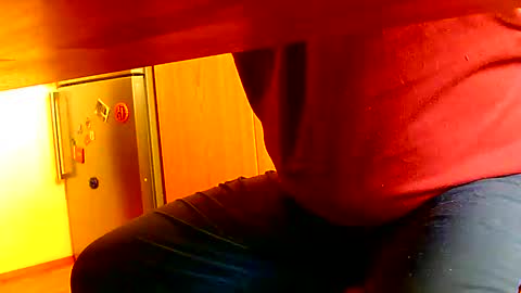 Dammerl online show from January 2025 10:48:02 AM