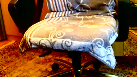 Dammerl online show from January 2025 08:20:01 AM