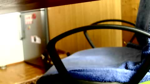 Dammerl online show from April 2026 01:31:01 PM