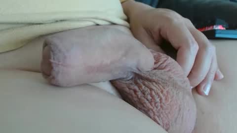 Damocles online show from October 2025 12:27:01 PM