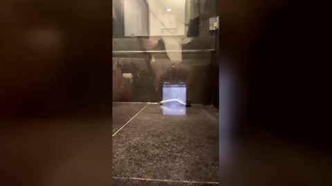 damrak50 online show from November 2025 08:13:02 PM