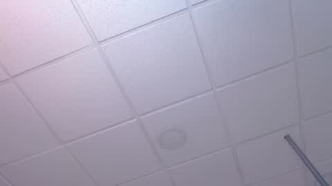 dana online show from December 2024 02:23:01 AM