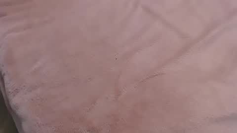 Snapshot of danadjuani chatting on January 2025 09:57:01 PM Danna Lovense is activeThere are legends that in this room all your wishes can come true Private is Open online show from January 2025 09:57:01 PM