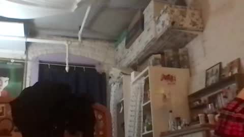 Snapshot of danceissexisbeauty2 chatting on December 2024 08:12:01 AM Your submissive patient online show from December 2024 08:12:01 AM