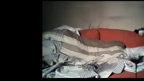 dane1982 online show from January 2025 04:39:02 PM