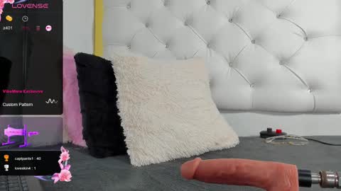 DANI online show from February 2025 05:17:02 PM