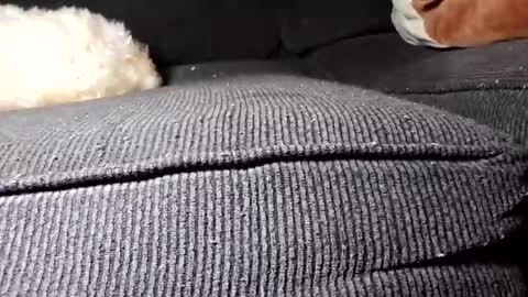 daniel_k69 online show from February 2025 02:23:02 PM
