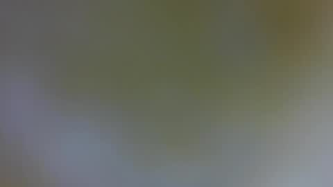 daniela_sexy34 online show from January 2025 04:50:02 PM