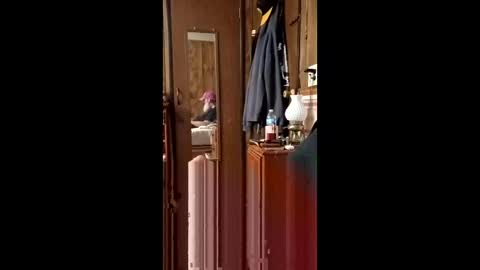 danielgilligan586677889 online show from April 2026 02:55:01 AM