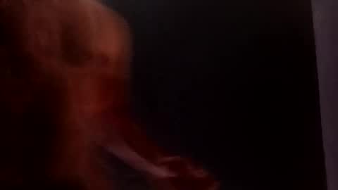 Snapshot of daniwood473904 chatting on April 2026 03:38:01 AM daniwood473904 online show from April 2026 03:38:01 AM