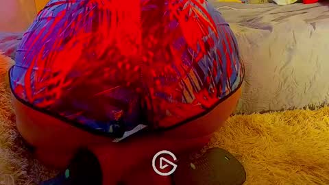 dandeb online show from January 2025 08:45:01 PM