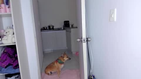 Danna Rhodes online show from November 2025 06:17:02 AM