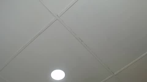 dannaberlin_0 online show from March 2025 12:09:02 PM