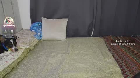    online show from December 2024 10:55:02 PM