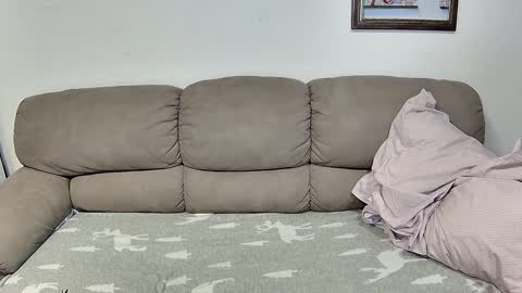 HilmarZ online show from November 2025 02:45:02 PM