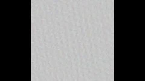 Dannyaa online show from September 2025 11:55:02 AM