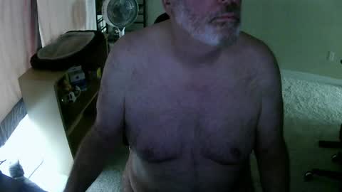 Danny bear online show from May 2026 07:31:01 PM