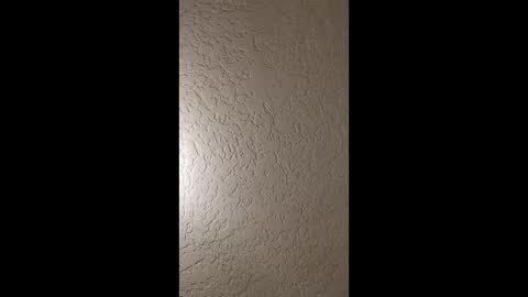 dano9696 online show from January 2026 05:44:01 AM