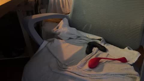 Dante online show from November 2025 07:13:02 AM