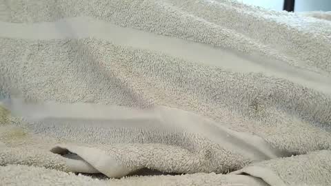 Snapshot of dapppper chatting on September 2025 06:10:02 PM dapppper online show from September 2025 06:10:02 PM