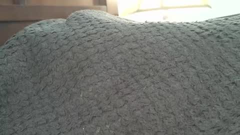 Snapshot of dapppper chatting on September 2025 02:20:01 PM dapppper online show from September 2025 02:20:01 PM